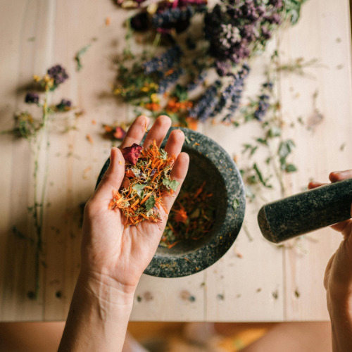 BioNet Vedic — Natural wellness products