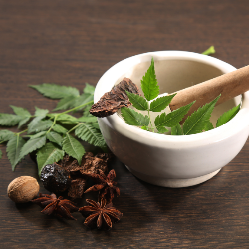 BioNet Vedic modern herbal manufacturing